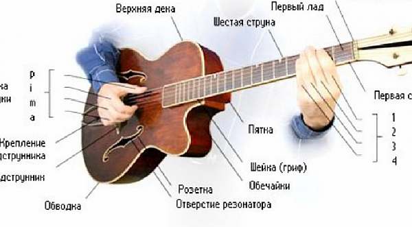 Схема гитары